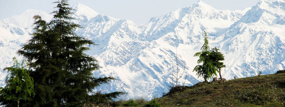 Chopta-Tungnath-Chandrashila Trek 