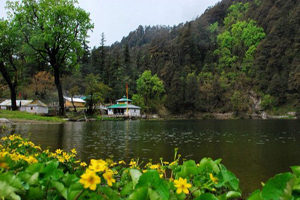 dodiya tal trek