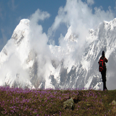 himalayakumaio