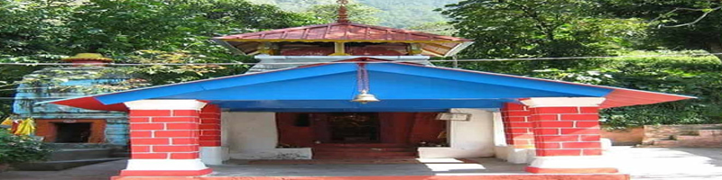 vridha